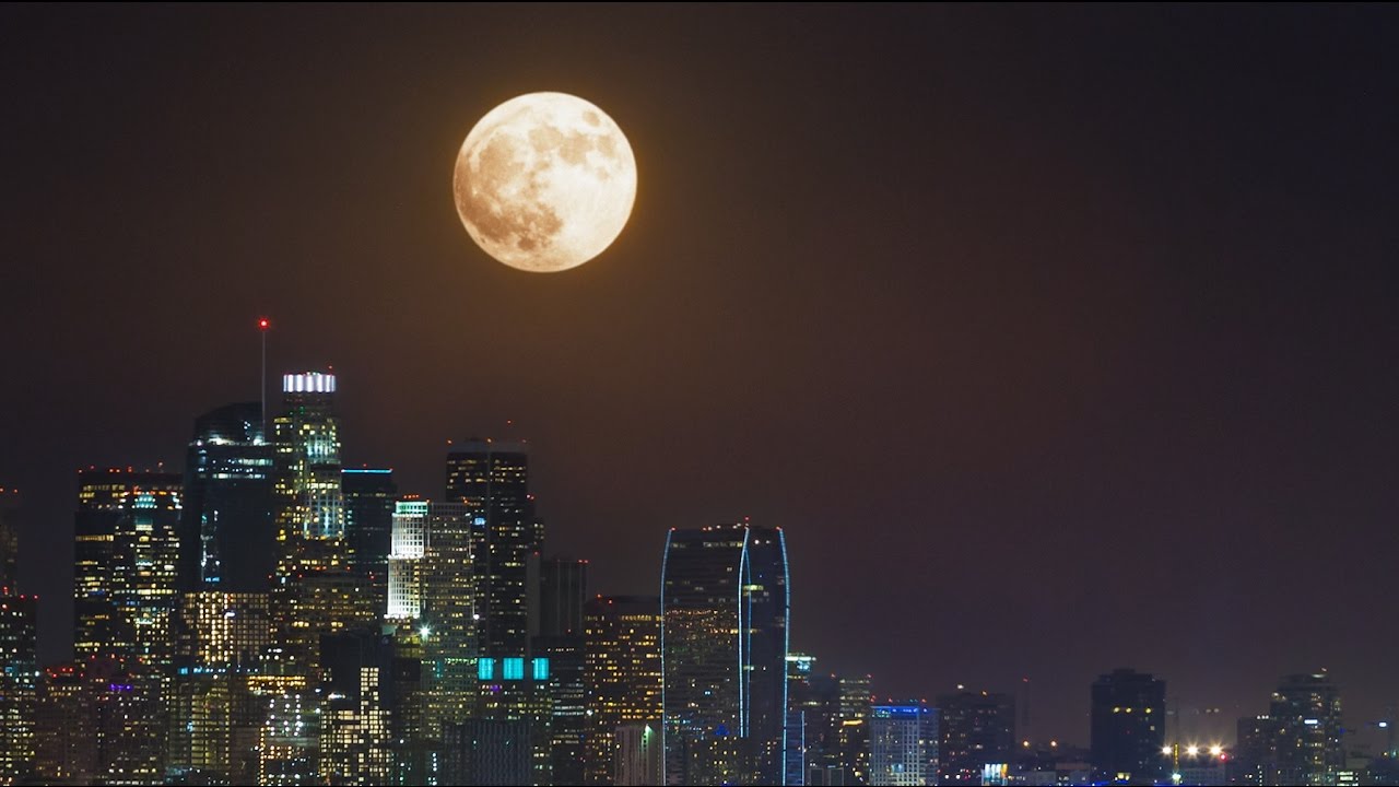 O ano de 2016 em pesquisas Google