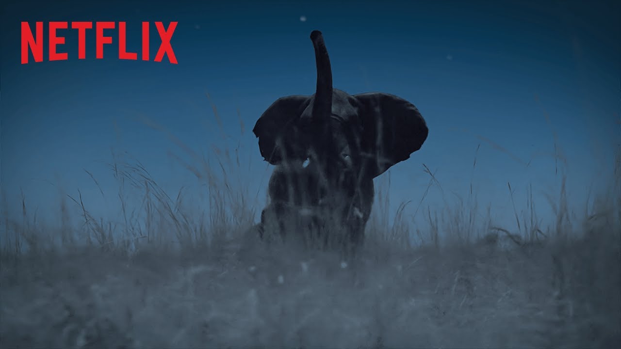 , A Terra ao Anoitecer | Trailer | Netflix