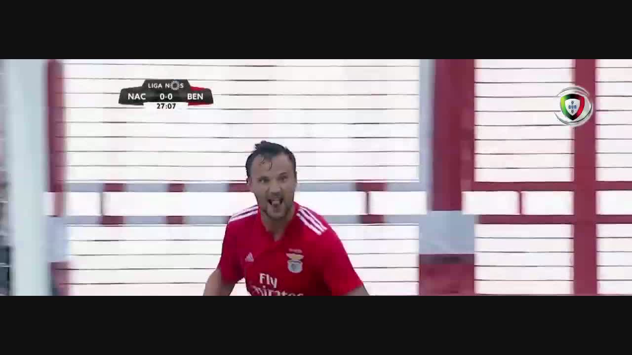 , SL Benfica, Golo, Seferovic, 28m, 0-1