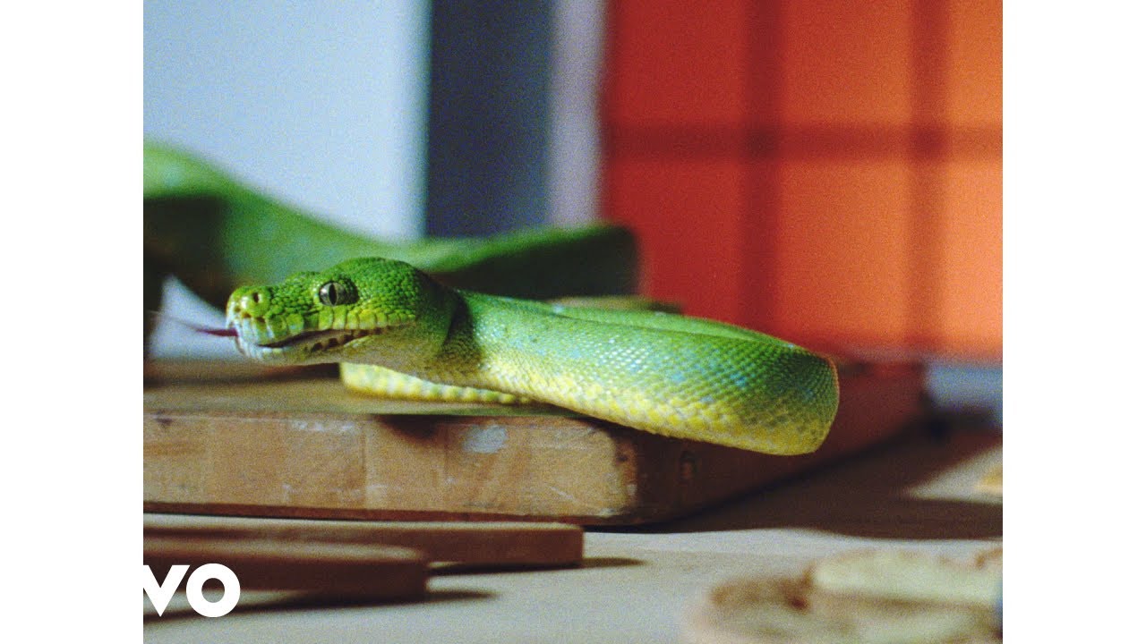 Vampire Weekend no Coliseu de Lisboa (antevis&atilde;o e previs&atilde;o da setlist do concerto)