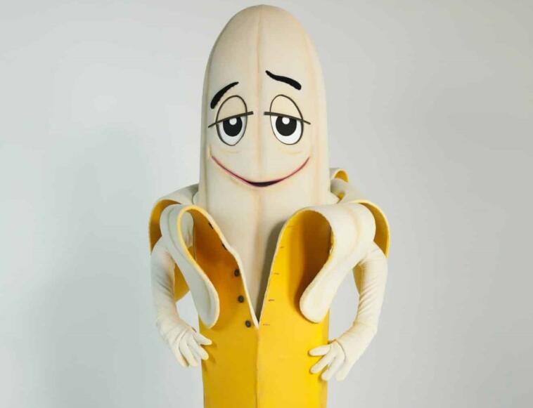 SIC: conhe&ccedil;a os disfarces da nova temporada de “A M&aacute;scara”