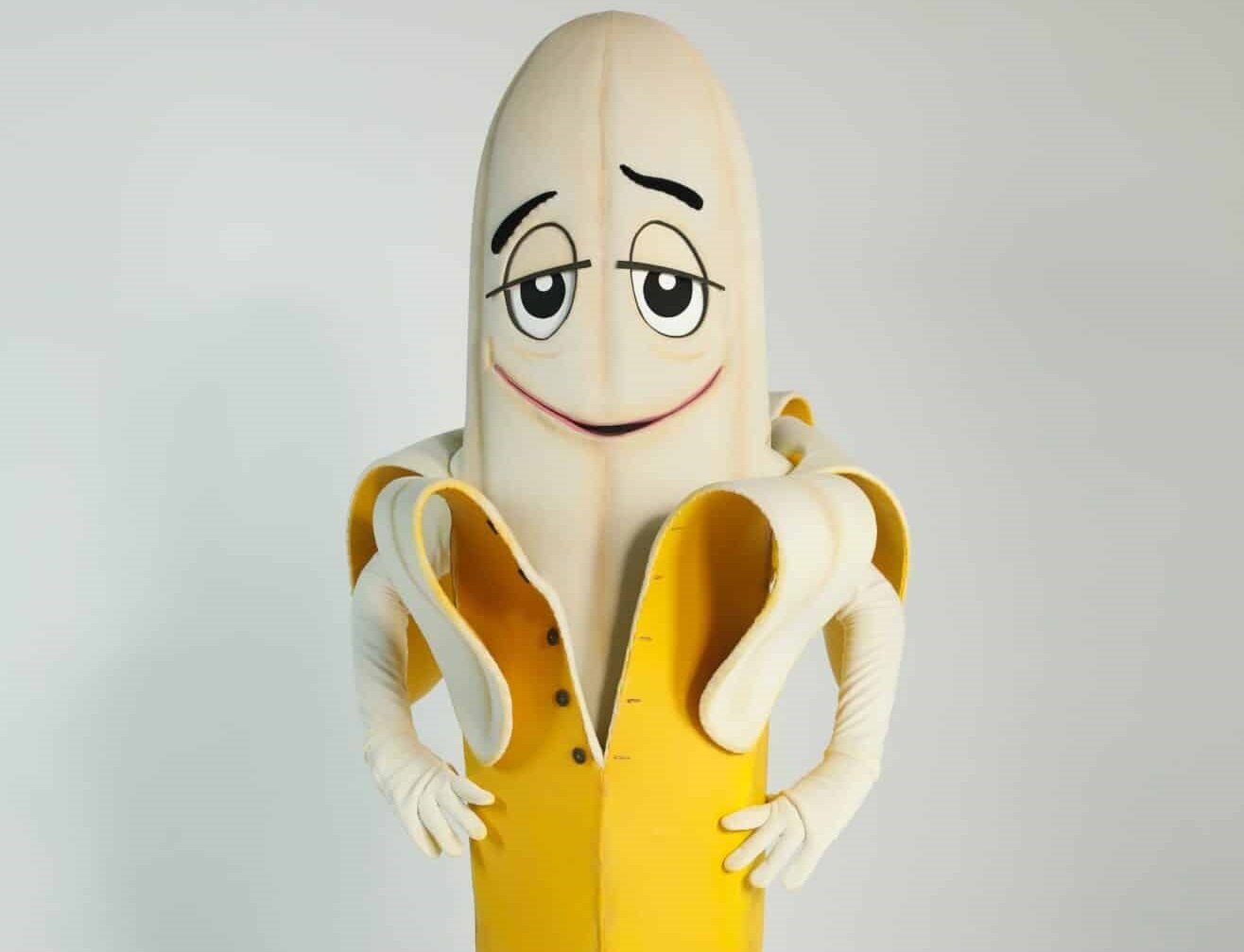 SIC: conhe&ccedil;a os disfarces da nova temporada de “A M&aacute;scara”