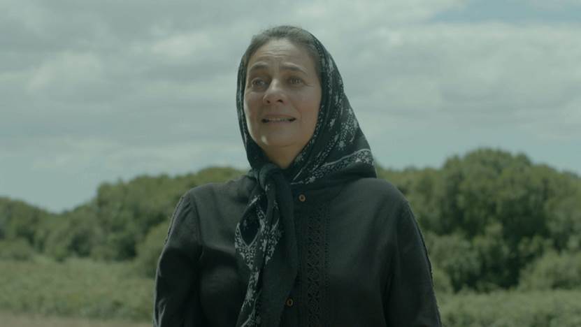 &ldquo;A Pereira da Tia Mis&eacute;ria&rdquo; estreia esta sexta-feira na RTP
