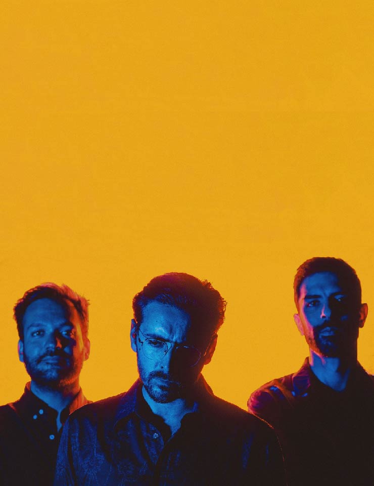 ALTERNATIVA &Agrave; 5INTA – BARDINO