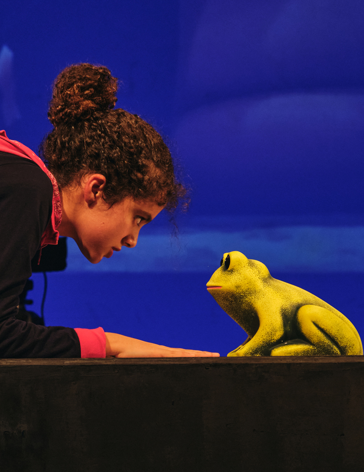 Engolir Sapos – Amarelo Silvestre