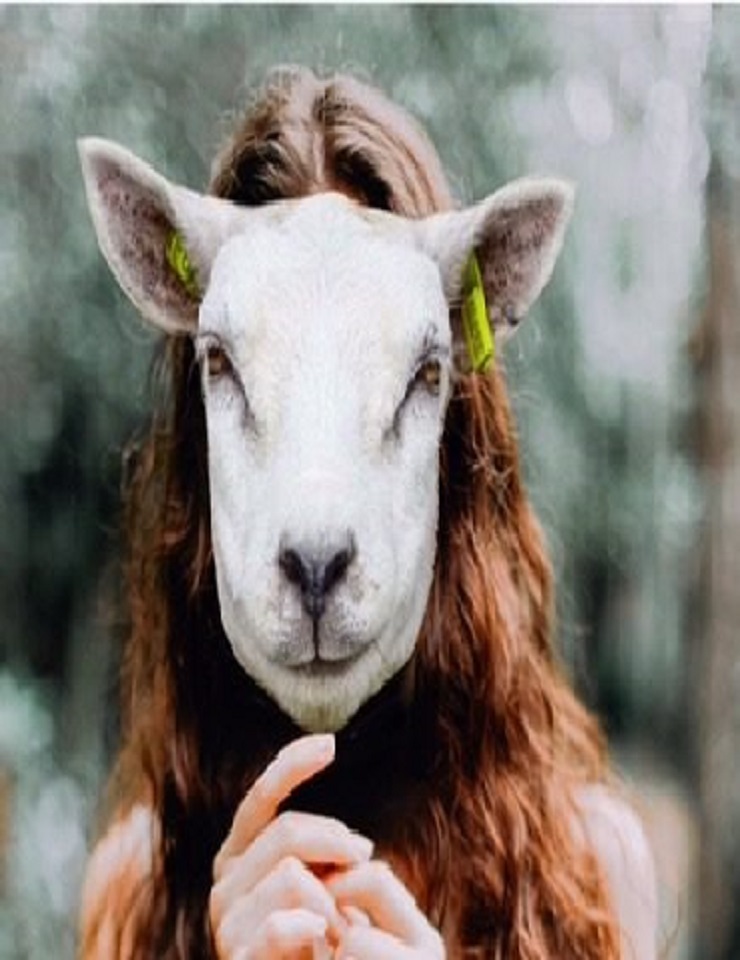 Jogos de Obedi&ecirc;ncia – Familias