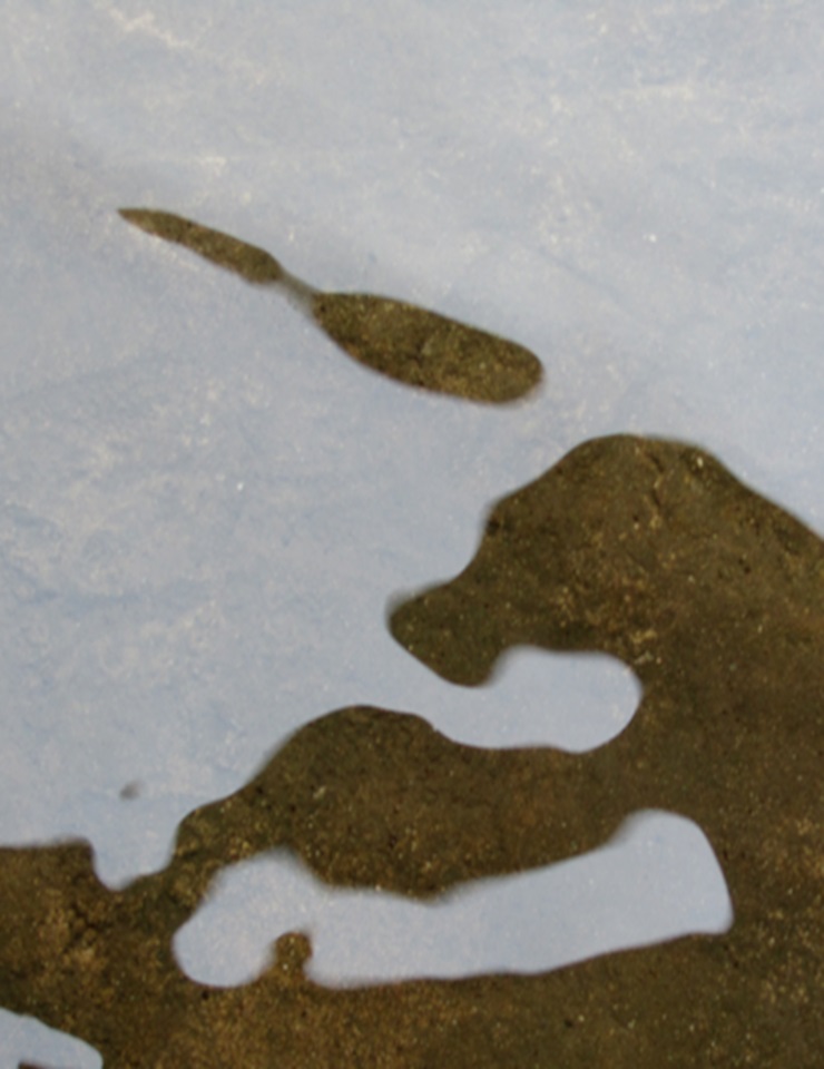 O Significado de Tudo