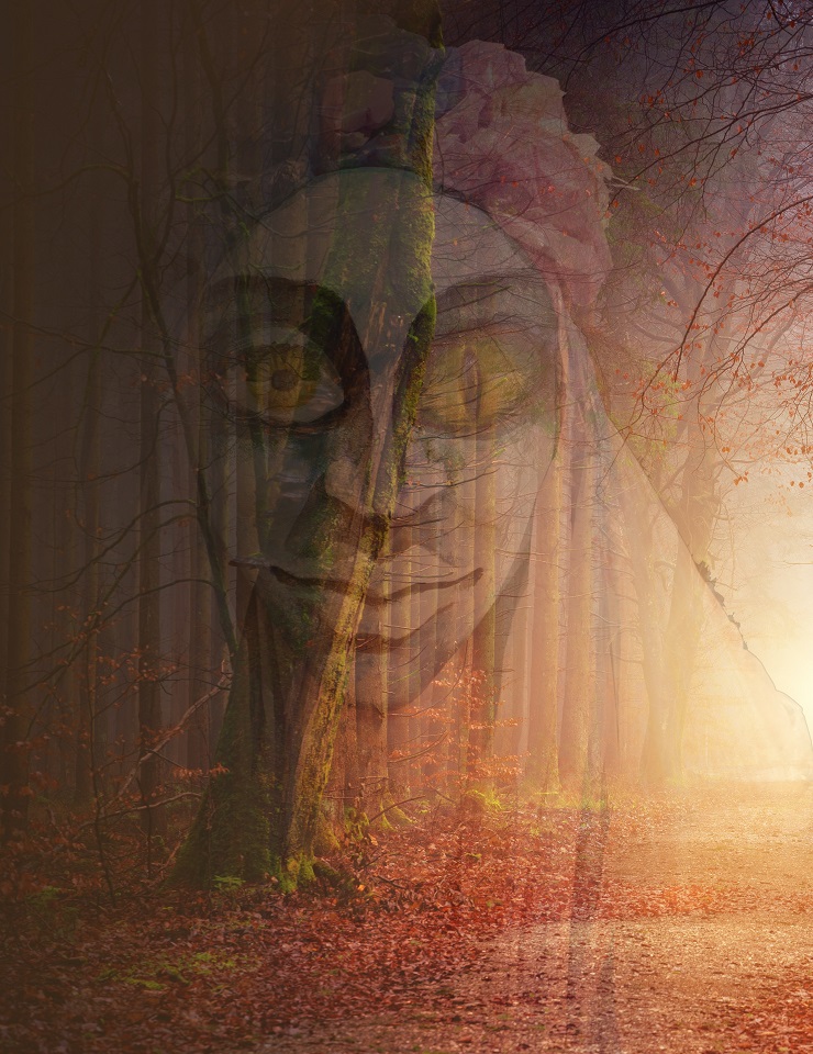 CTB | A CAN&Ccedil;&Atilde;O DA FLORESTA