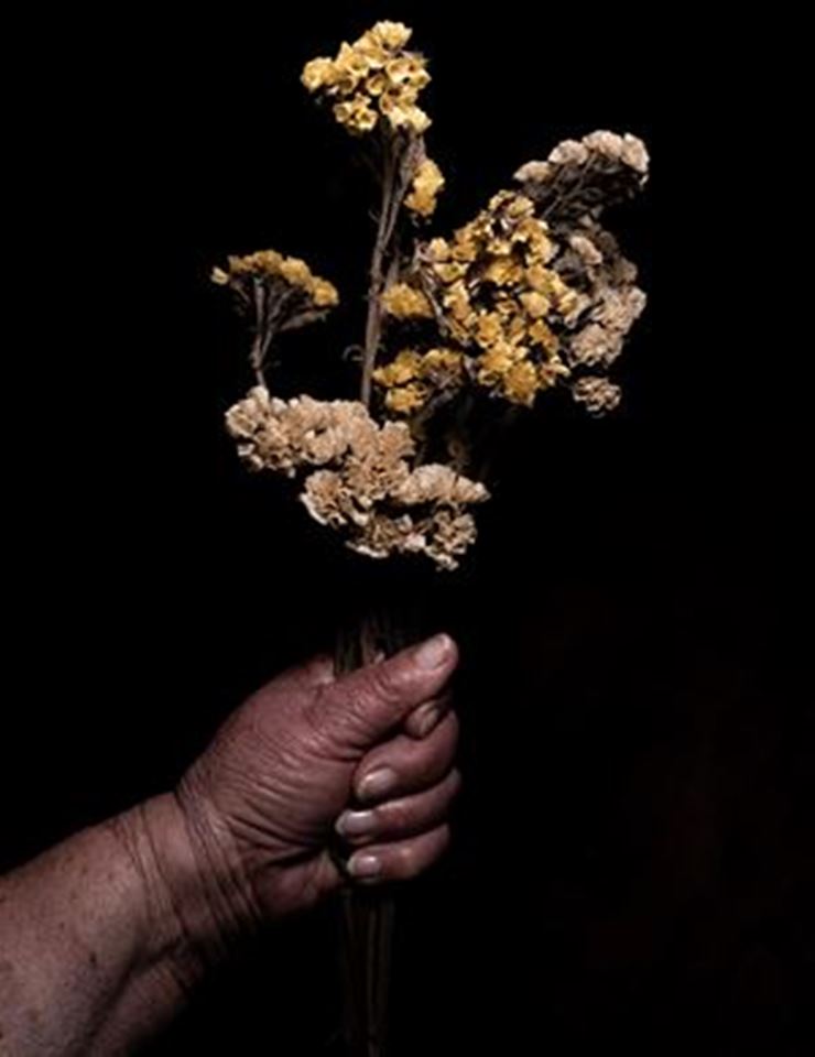 QUE N&Atilde;O SE FALE DOS VELHOS TEMPOS | ESTREIA