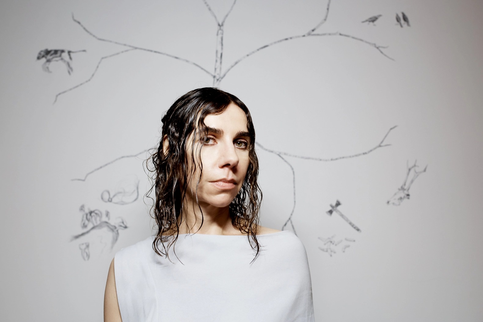 PJ Harvey partilha regresso ao est&uacute;dio