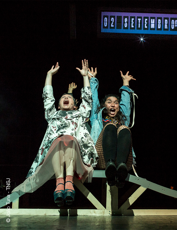 Montanha Russa | Formiga At&oacute;mica