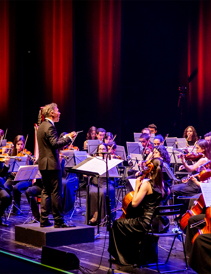 Sinfoni&oacute;nicos | Mozart Sec XXI