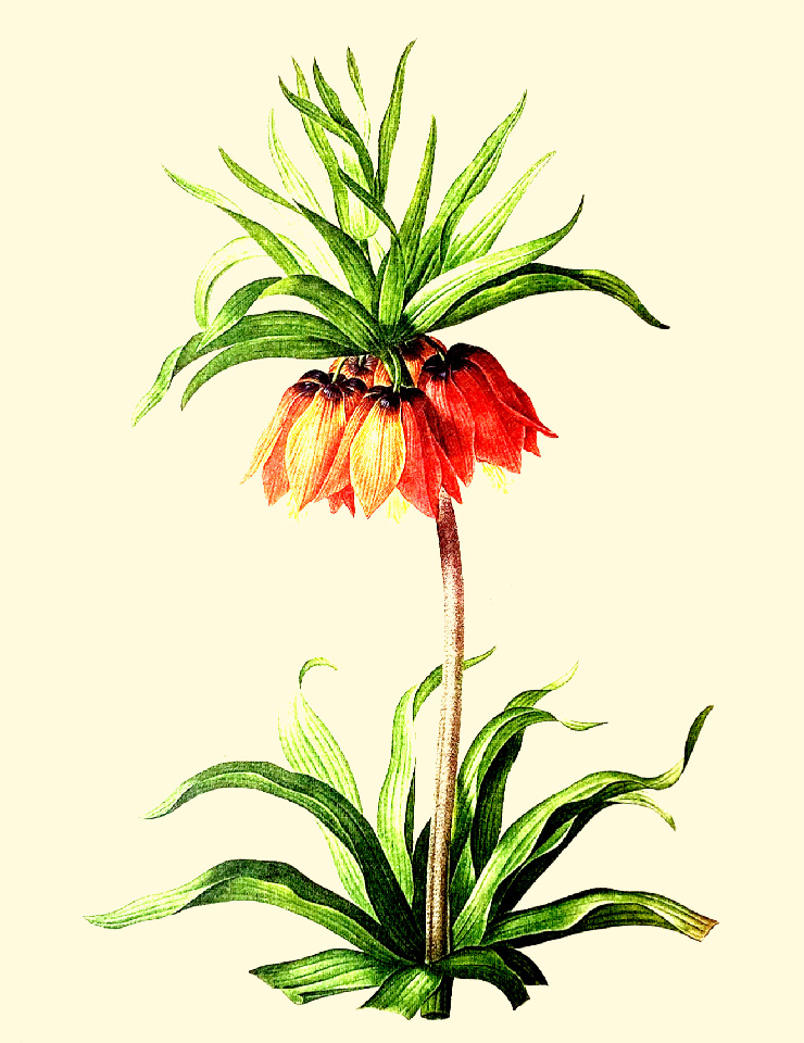 Rebentar na Primavera em 3 actos