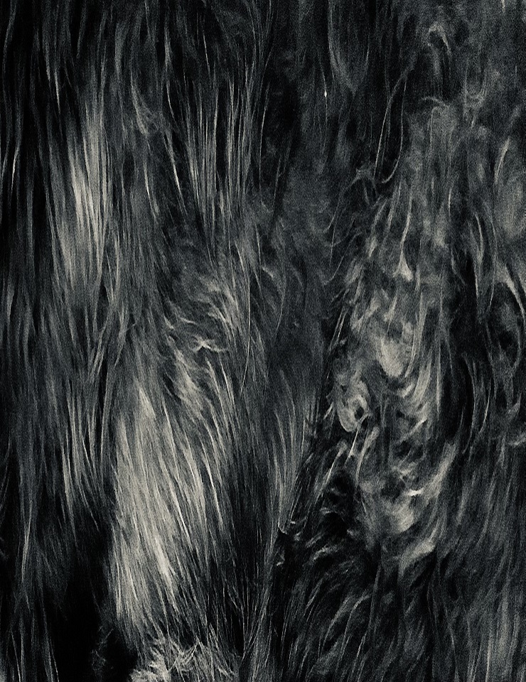 Cenas “Colectivo 8”