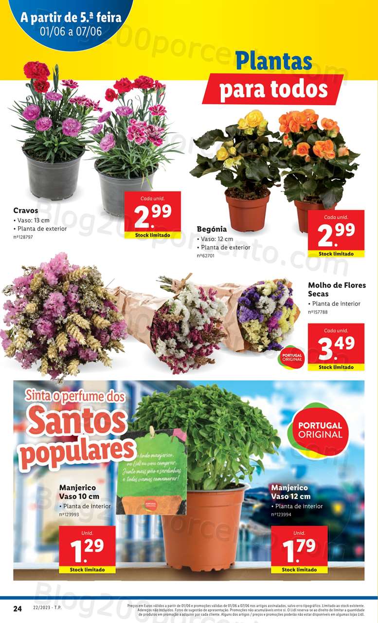 Folheto LIDL Mercado de Plantas Promo&ccedil;&otilde;es de 1 a 7 junho