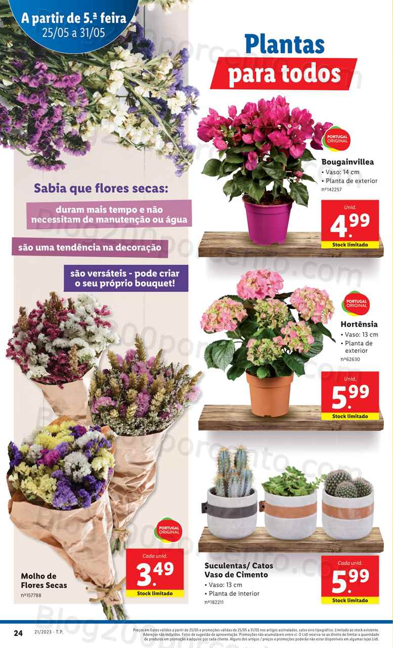 Folheto LIDL Mercado de Plantas Promo&ccedil;&otilde;es de 25 a 31 maio