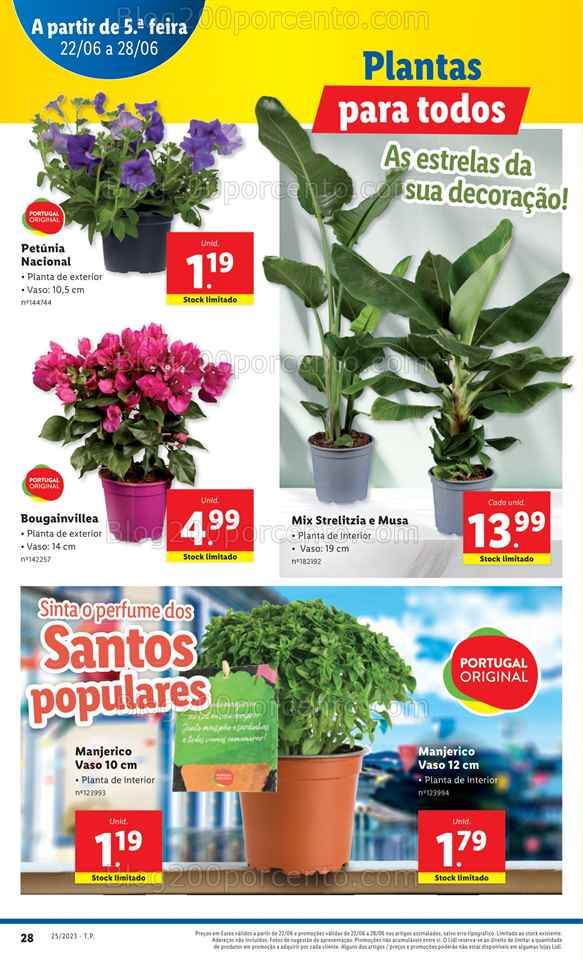 Folheto LIDL Promo&ccedil;&oacute;es de 22 a 28 junho