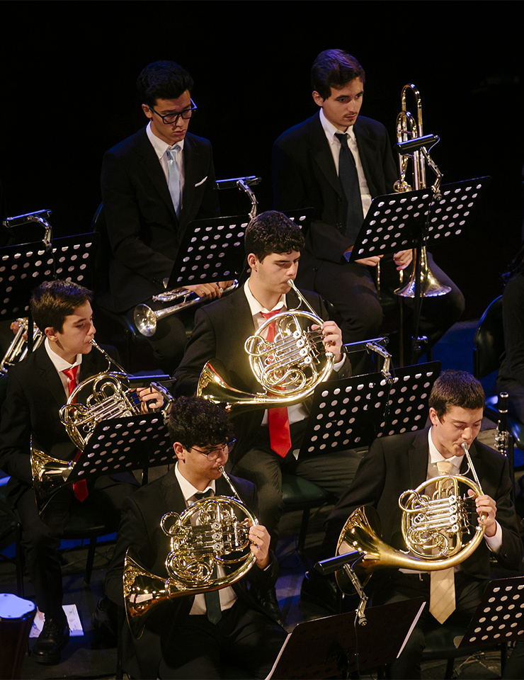 Orquestra Sinf&oacute;nica Ensemble