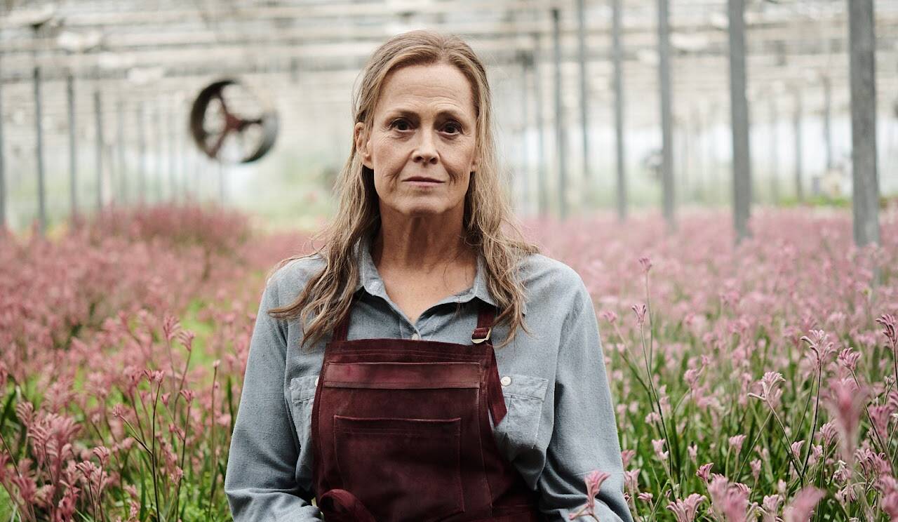 Prime Video lan&ccedil;a trailer da s&eacute;rie original ‘The Lost Flowers of Alice Hart’, estreia marcada para 4 de Agosto