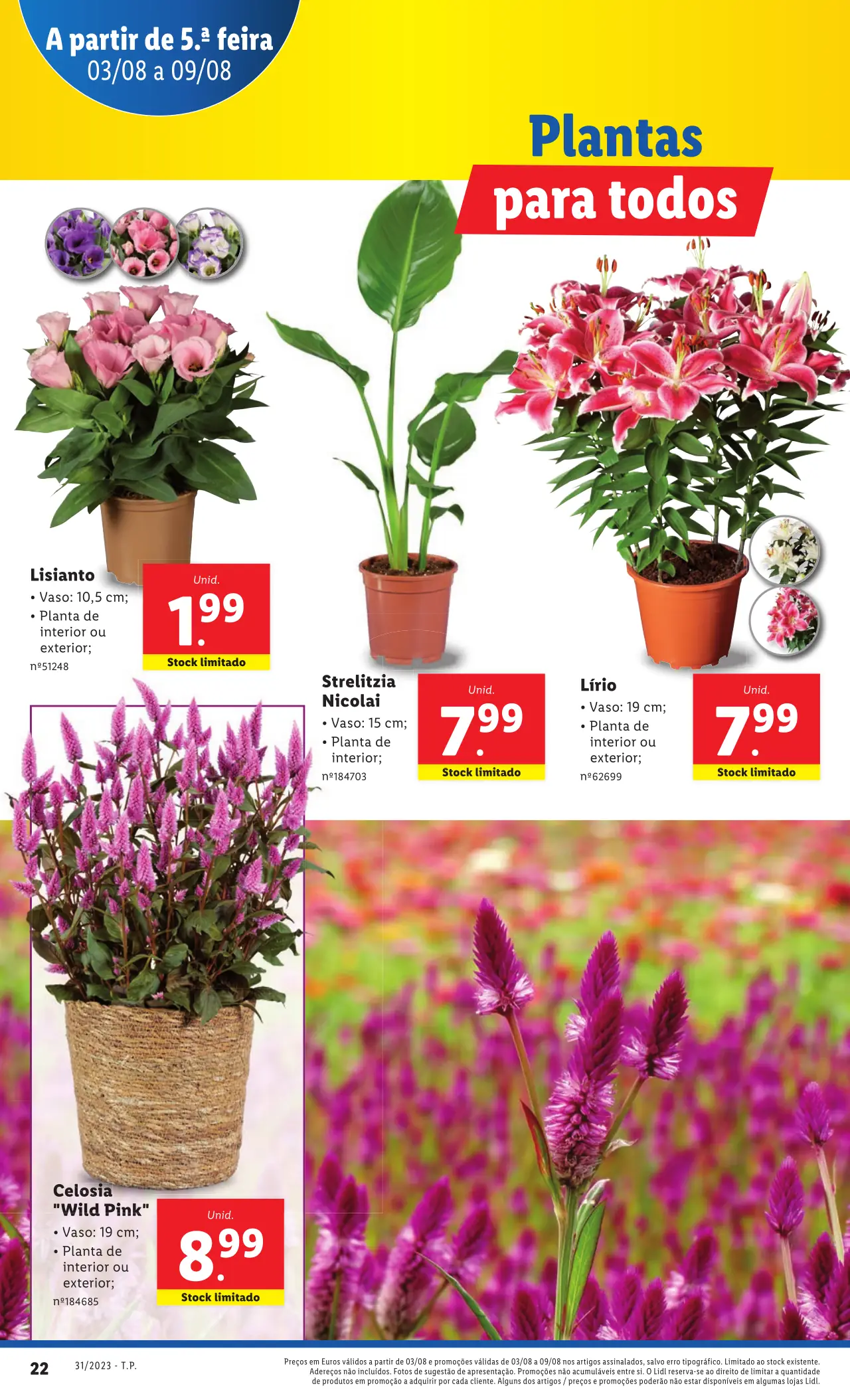 Antevis&atilde;o Folheto LiDL Promo&ccedil;&otilde;es (3 a 9 agosto)