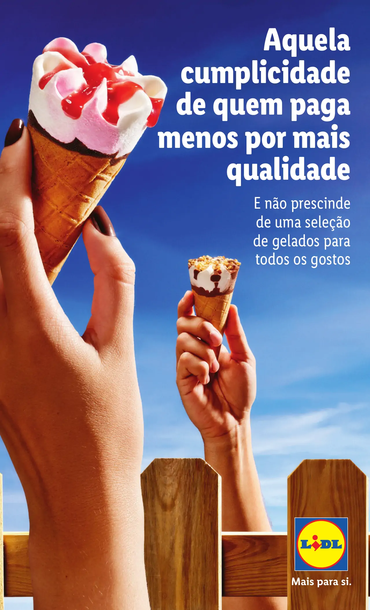 Antevis&atilde;o Folheto LiDL Novidades (a partir de 24 agosto)