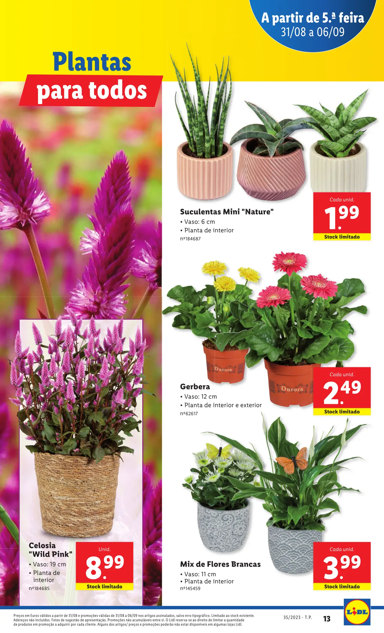 Antevis&atilde;o Folheto LiDL Promo&ccedil;&otilde;es (31 agosto a 6 setembro)