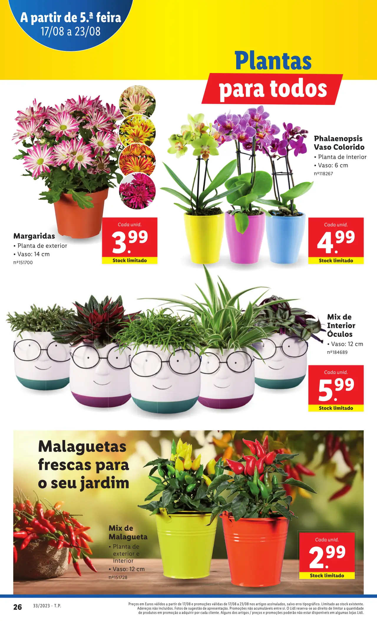 Antevis&atilde;o Folheto LiDL Promo&ccedil;&otilde;es (17 a 23 agosto)