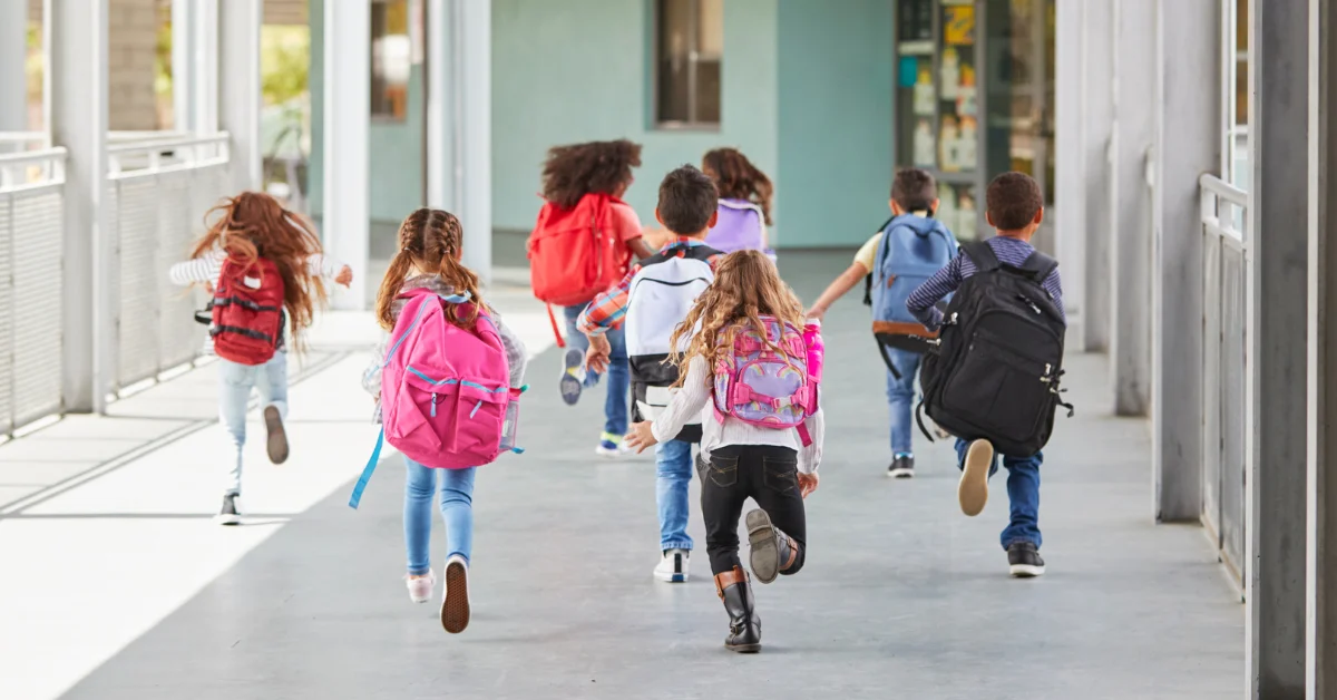 Regresso &agrave;s aulas: Reclama&ccedil;&otilde;es aumentam 39% devido a vagas, matr&iacute;culas e manuais escolares gratuitos