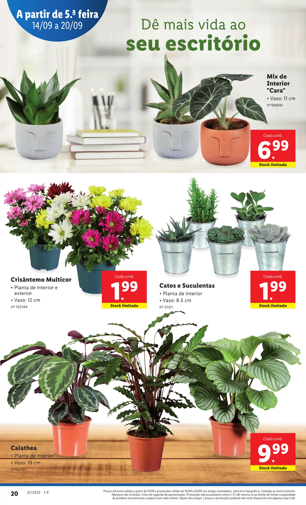 Antevis&atilde;o Folheto LiDL Novidades (a partir de 14 setembro)