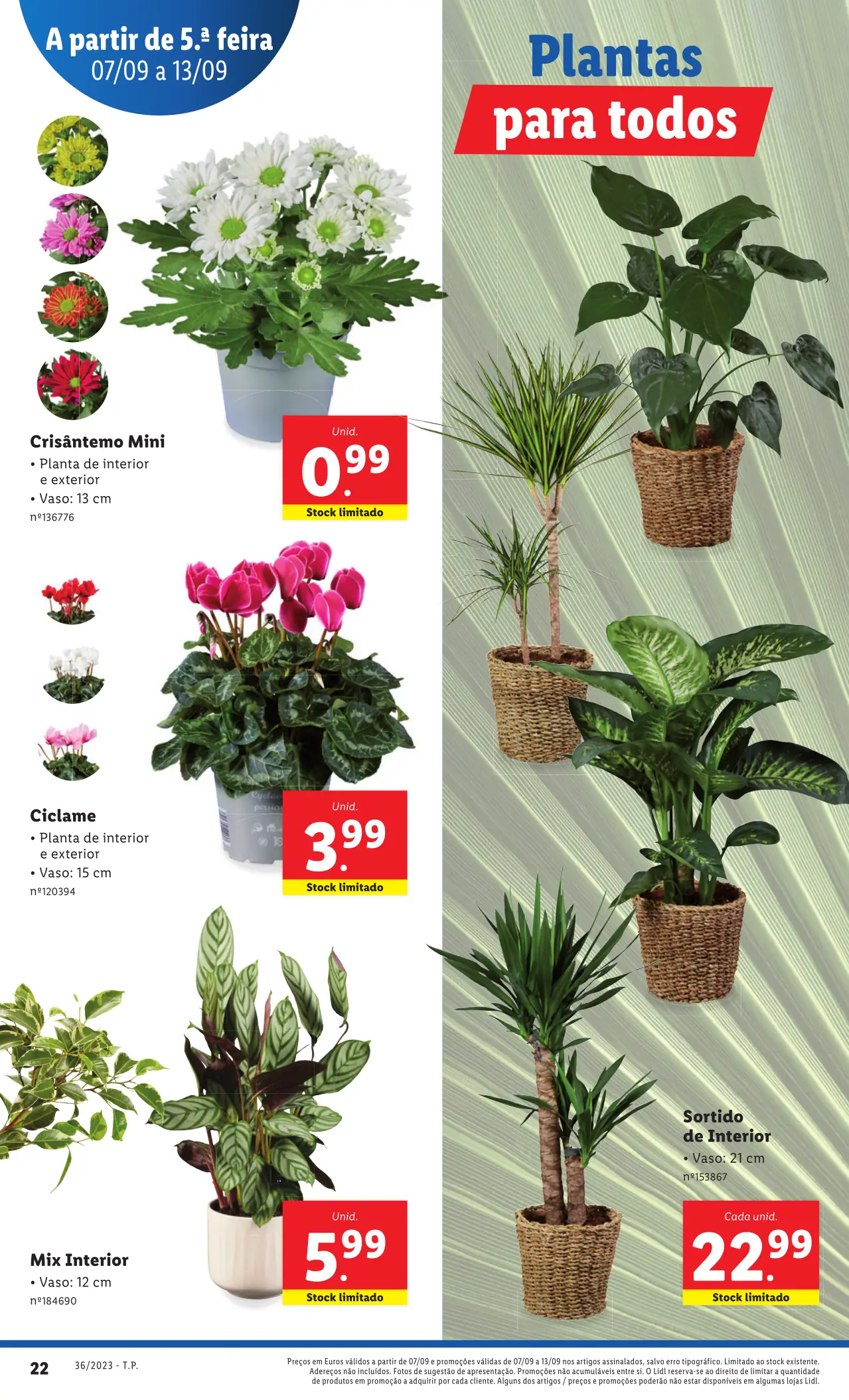 Antevis&atilde;o Folheto LiDL Novidades (a partir de 7 setembro)