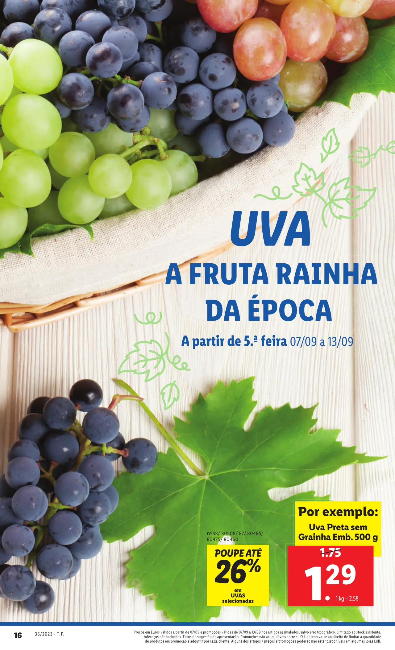 Antevis&atilde;o Folheto LiDL Promo&ccedil;&otilde;es (7 a 13 setembro)