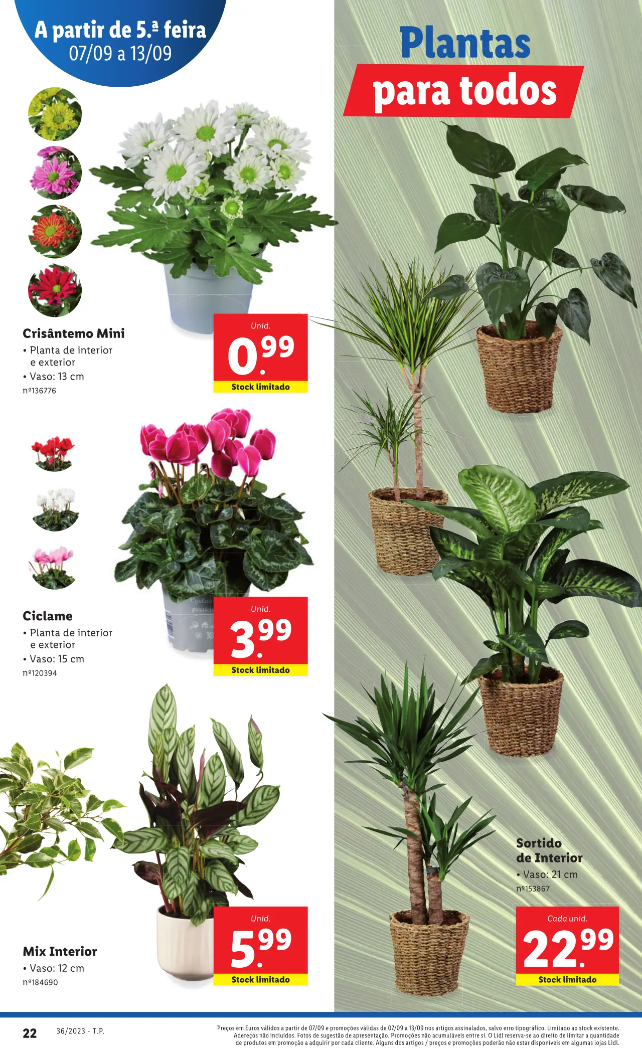 Antevis&atilde;o Folheto LiDL Promo&ccedil;&otilde;es (7 a 13 setembro)