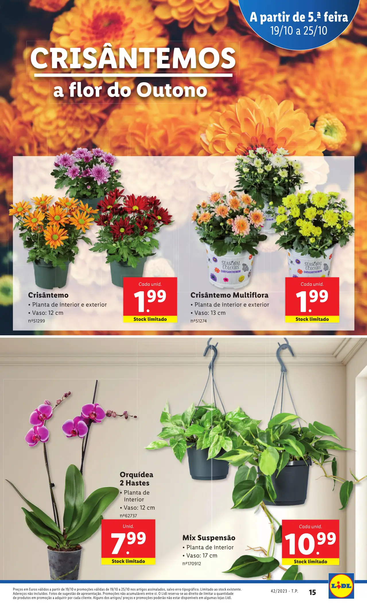Antevis&atilde;o Folheto LiDL Novidades (a partir de 19 de outubro)