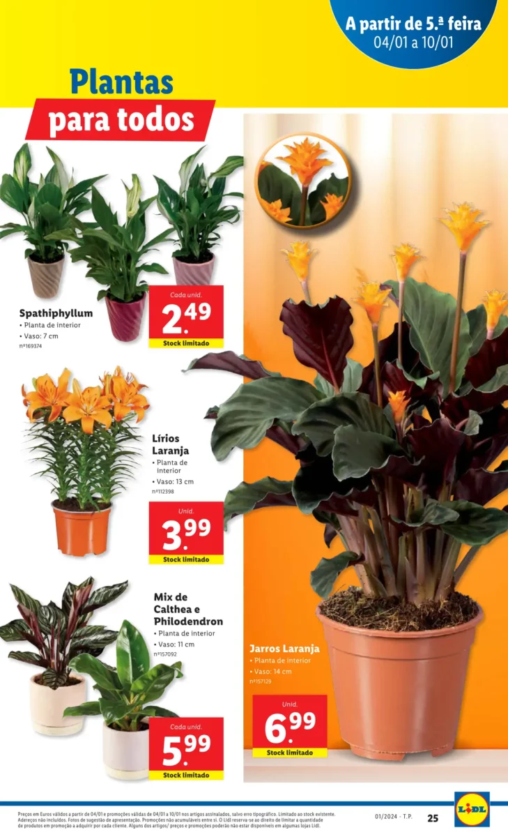 Antevis&atilde;o Folheto LiDL Novidades (a partir de 4 janeiro)