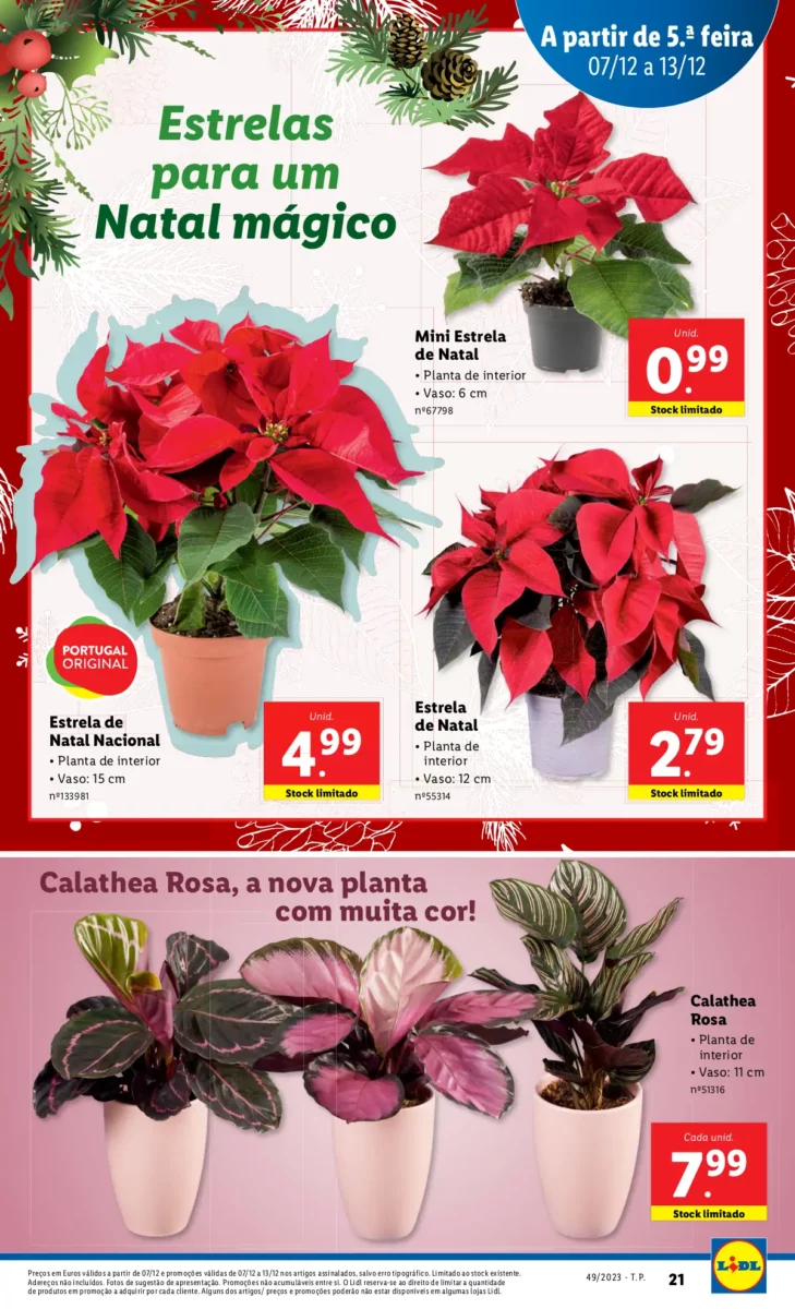 Antevis&atilde;o Folheto LiDL Novidades (a partir de 7 dezembro)