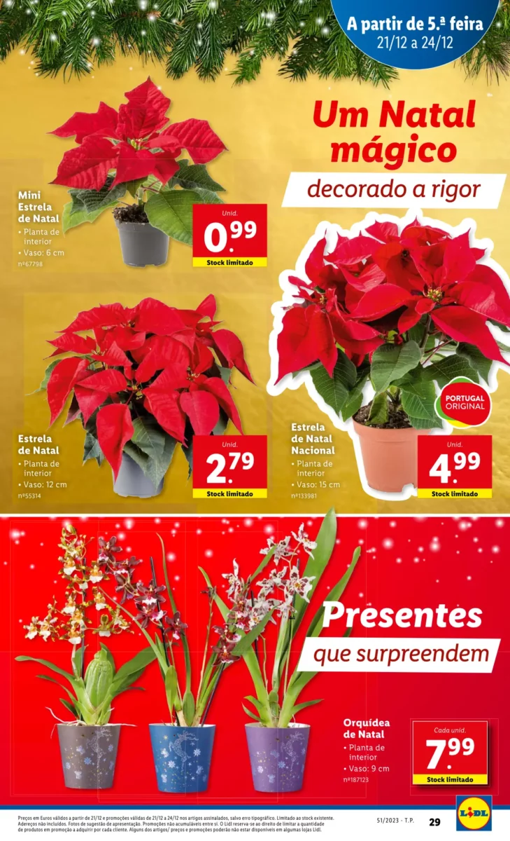 Antevis&atilde;o Folheto LiDL Promo&ccedil;&otilde;es (21 a 24 dezembro)