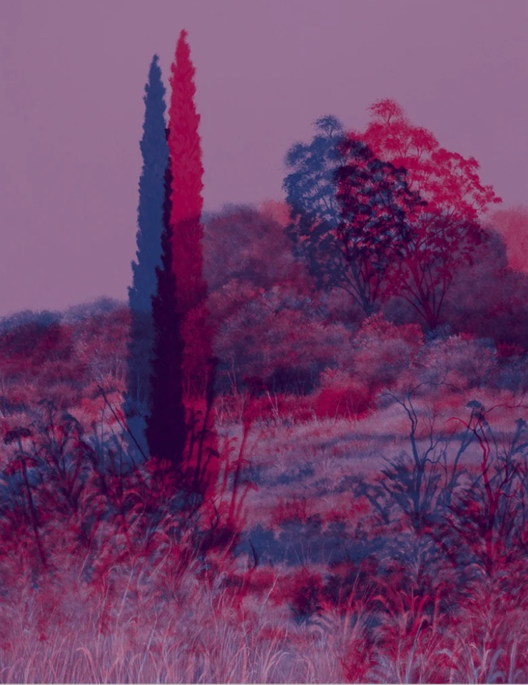 Visita Guiada – Exposi&ccedil;&atilde;o