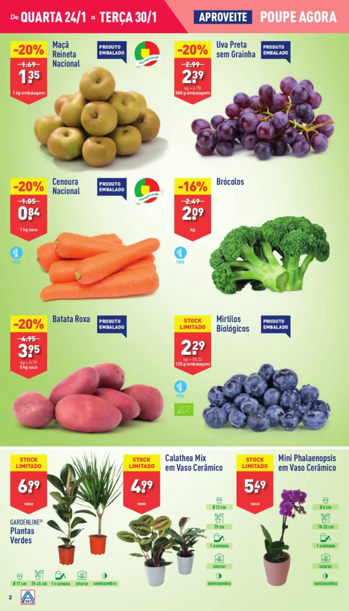 Antevis&atilde;o Folheto ALDI (24 a 30 janeiro)