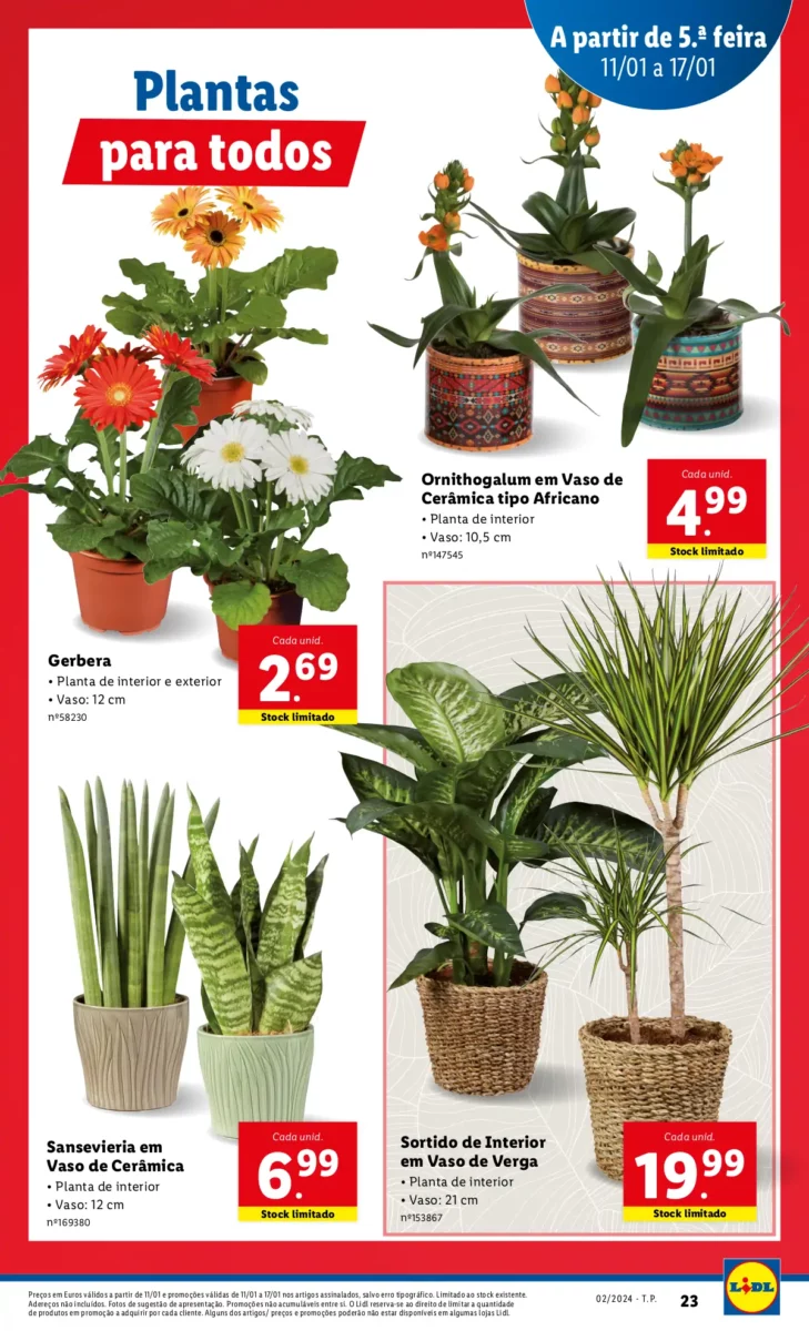 Antevis&atilde;o Folheto LiDL Novidades (a partir de 11 janeiro)