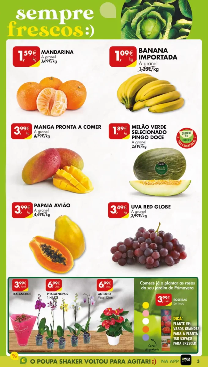 Antevis&atilde;o Folheto Pingo Doce (9 a 15 janeiro)