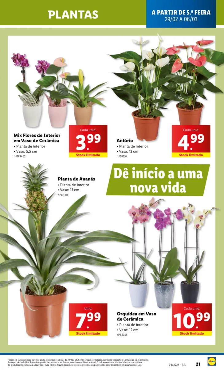 Antevis&atilde;o Folheto LiDL Promo&ccedil;&otilde;es (29 fevereiro a 6 mar&ccedil;o)