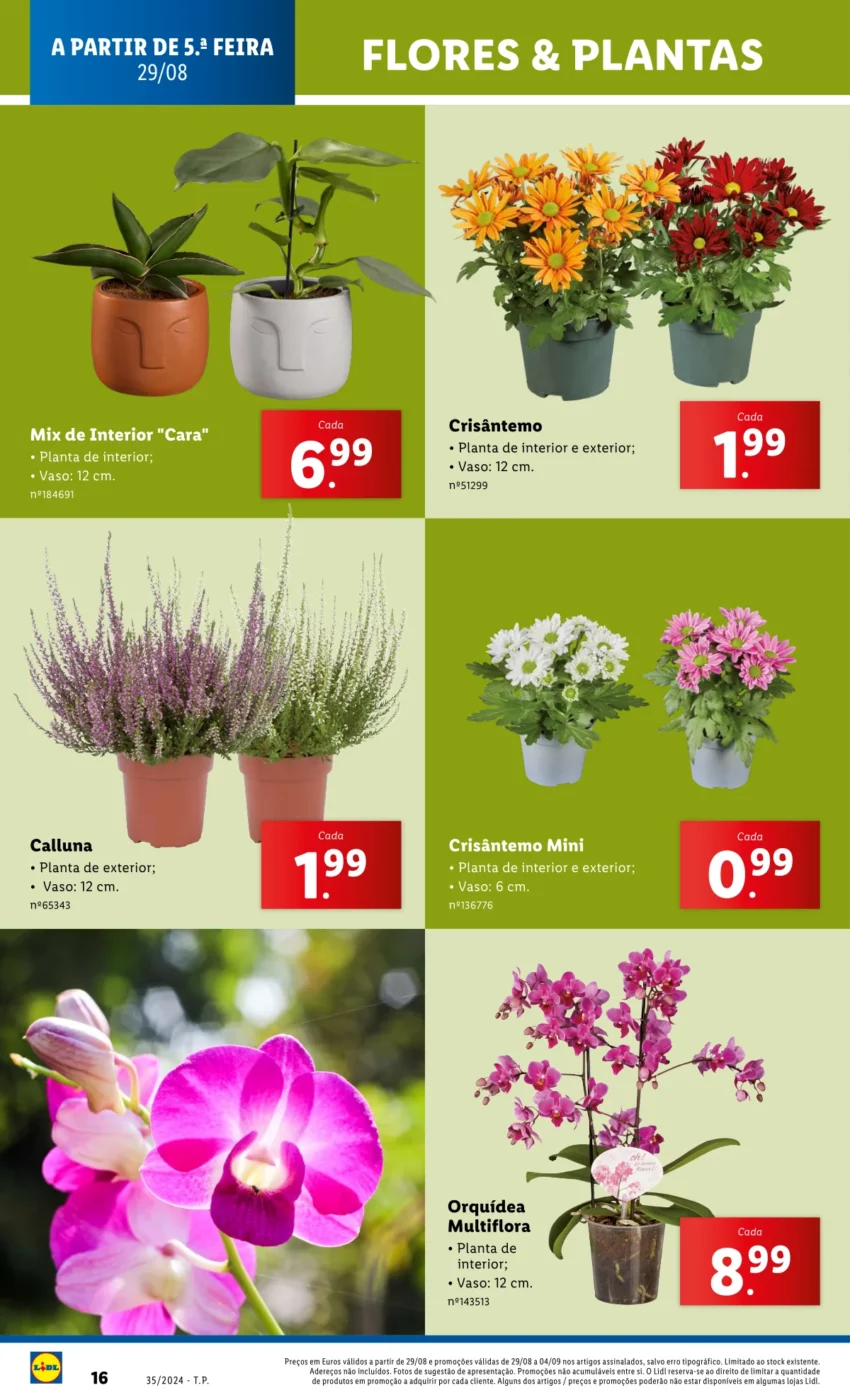 Antevis&atilde;o Folheto LiDL Novidades (29 agosto a 4 setembro)