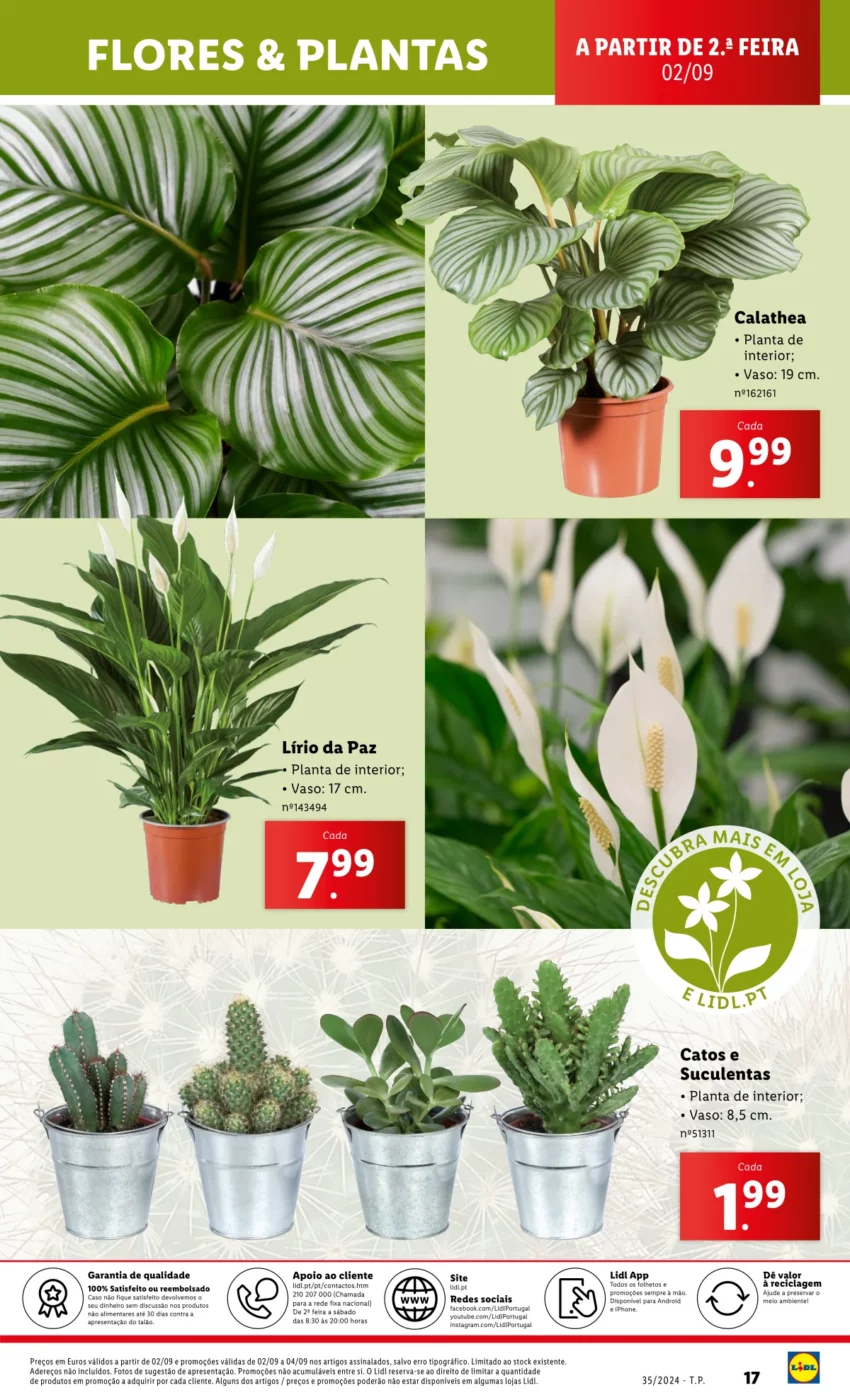 Antevis&atilde;o Folheto LiDL Novidades (29 agosto a 4 setembro)