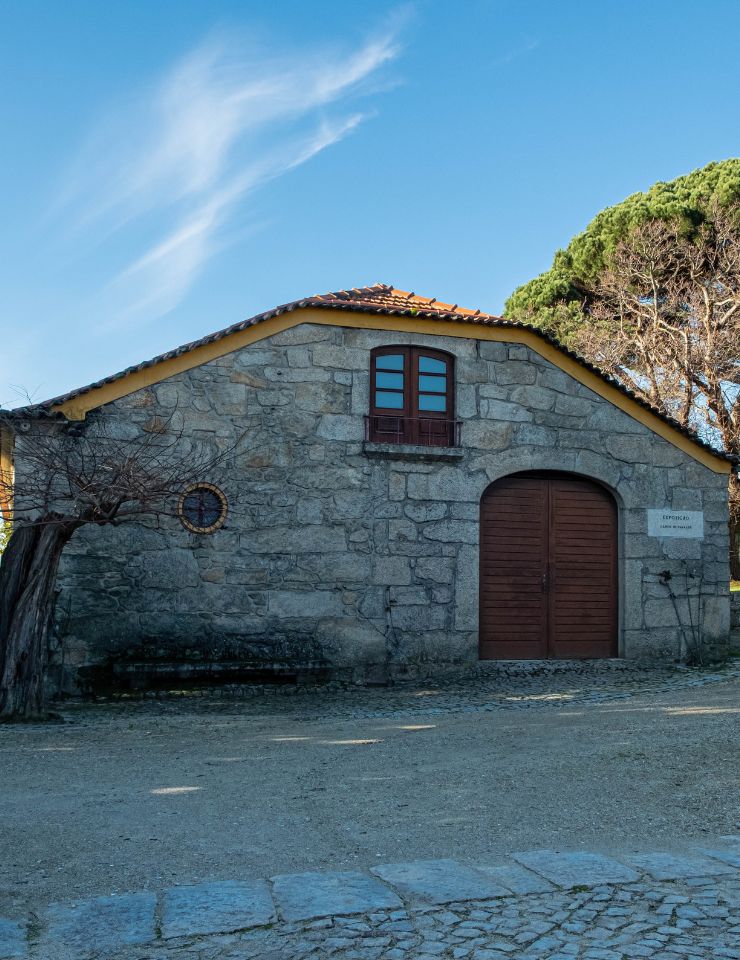 Visita Rural