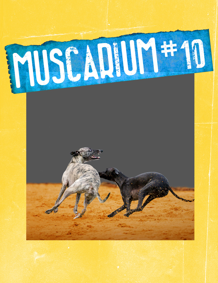 Azzedine | MUSCARIUM#10