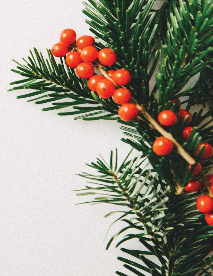 Concerto de Natal – OML