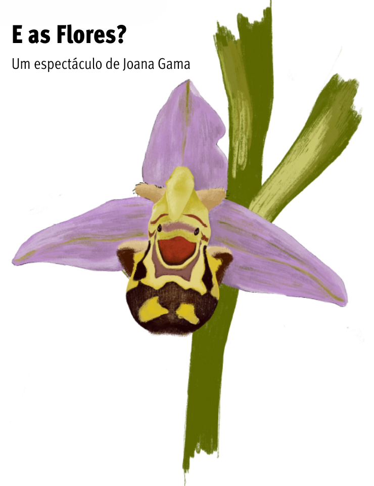 E AS FLORES? | Espect&aacute;culo de Joana Gama